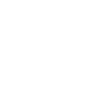 Life Assets