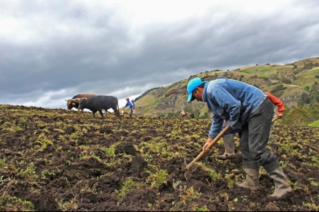 CAF invertirá $us 8.500 millones hasta 2030 para impulsar la prosperidad agropecuaria en América Latina