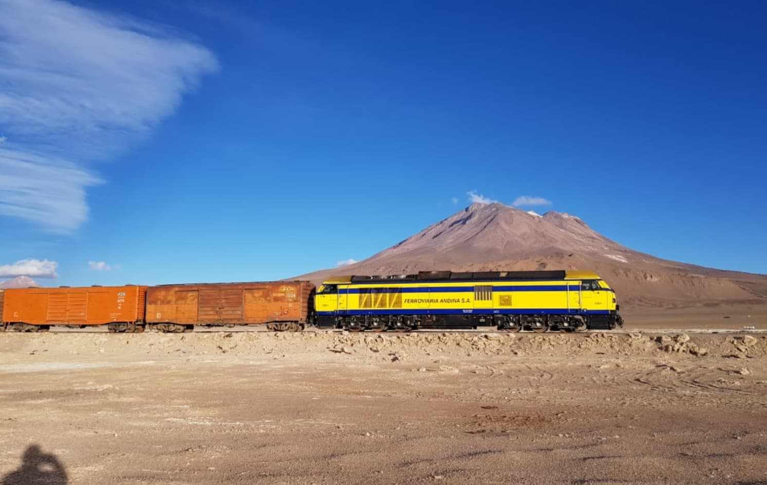Ferroviaria Andina transportó minerales y abasteció alimentos e insumos